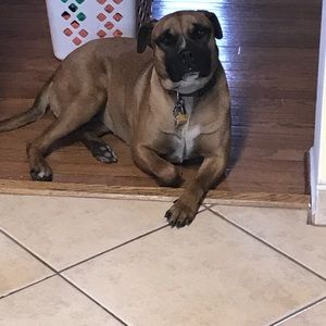 Meet your Posher, Tracie